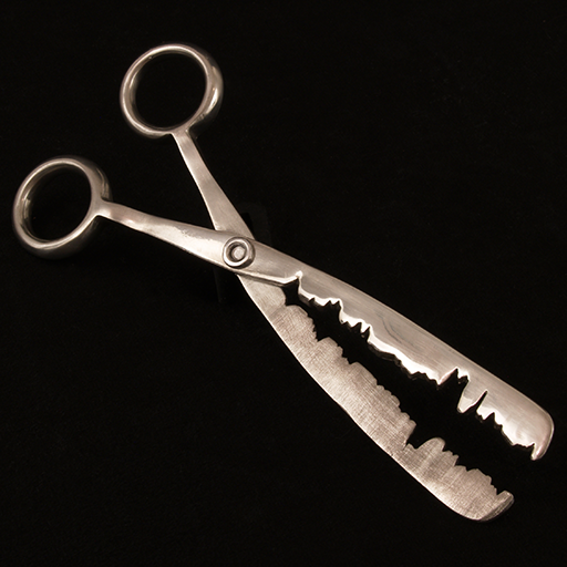 Department of Homeland Security